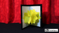 (image for) Chameleon Flower (Plastic) by Mr. Magic - Trick