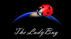 (image for) The Ladybug by Hugo Valenzuela - Trick