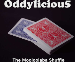 (image for) The Oddyliciou5 Package by The Mooloolaba Shuffle video DOWNLOAD