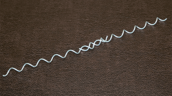 (image for) Magic Spiral (Small) by Ickle Pickle - Trick