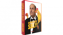 (image for) Super Sized Silly by David Kaye - Book