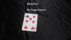 (image for) Restored by Tiago Guerra video DOWNLOAD