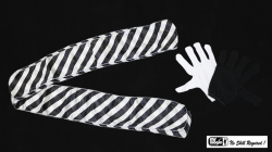 (image for) Gloves to Streamer by Premium Magic - Trick