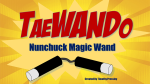 (image for) TaeWando by Timothy Pressley - Trick