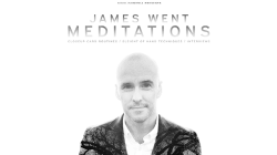 (image for) James Went's Meditations video DOWNLOAD