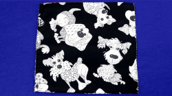 (image for) The Double Zipper Gag Bag by Ickle Pickle - Tricks
