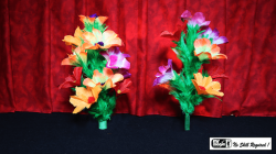 (image for) Double Flower Bouquet by Mr. Magic - Trick