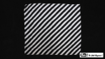 (image for) Production Hanky Zebra Black and White (21" x 21") by Mr. Magic - Trick