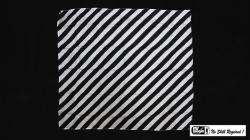 (image for) Production Hanky Zebra Black and White (21" x 21") by Mr. Magic - Trick