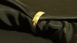 (image for) Gold Magnet Ring for Soorya's Mental Key