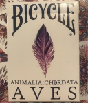 (image for) Bicycle AVES Uncaged Playing Cards by LUX Playing Cards