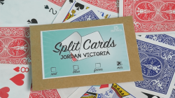 (image for) Split Cards 15 ct. (Mix) by PCTC - Trick