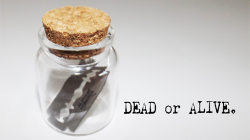 (image for) Dead or Alive by Sandro Loporcaro video DOWNLOAD