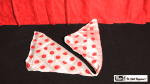 (image for) Color Change Silk Polka Dot by Mr. Magic - Trick