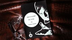 (image for) Mentalism De Luxe by Stanton Carlisle - Book