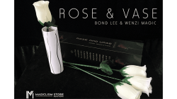 (image for) Rose & Vase by Wenzi Studio Presented by Bond Lee - Trick