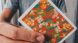 (image for) Flora Playing Cards by Paul Robaia