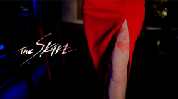 (image for) The Skirt by Nimble Mind - DVD