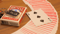 (image for) SWAG PRO (Double-White) by Taiwan Ben - Trick