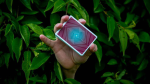 (image for) AEY Catcher Playing Cards
