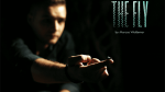 (image for) The FLY by Marcos Waldemar - Trick