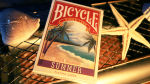 (image for) Bicycle Four Seasons Limited Edition (Summer) Playing Cards