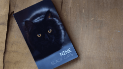 (image for) Nine Black Cats by Neemdog and Lorenzo - Book