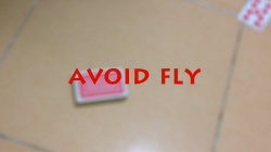 (image for) Avoid Fly by Kelvin Trinh video DOWNLOAD