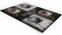 (image for) TETRAD T?TE by Ken Dyne - Book