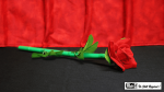 (image for) Break Away Rose by Mr. Magic - Trick