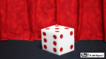 (image for) Ball to Dice (Red/White) by Mr. Magic - Trick