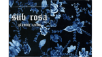 (image for) Sub Rosa Playing Cards