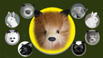 (image for) Red Fox Spring Animal by Magic Masters - Trick