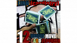 (image for) LINK (Cardistry Project) by SaysevenT video DOWNLOAD