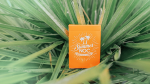 (image for) Limited Edition Summer NOC (Orange) Playing Cards
