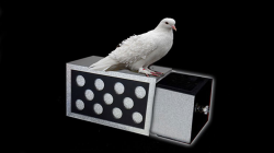 (image for) DRAWER BOX WITH HOLES (SILVER) by Tora Magic