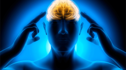 (image for) ROYLE'S REAL WORLD CENTER TEAR REVEAL by Jonathan Royle Mixed Media DOWNLOAD