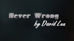 (image for) Never Wrong by David Luu video DOWNLOAD