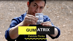 (image for) Gumatrix by Patricio Tern video DOWNLOA