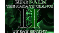 (image for) EXOPALM THE KARATE CHANGE by SaysevenT video DOWNLOAD