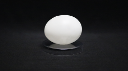 (image for) Deluxe Latex (Vinyl) Egg-Tissue to Egg Routine by Viking Magic - Trick