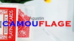 (image for) Camouflage by Agustin video DOWNLOAD