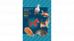 (image for) Get a Pet by Bazar de Magia - Trick