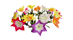 (image for) Nari Flower by JL Magic - Trick