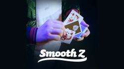 (image for) Smooth Z by Zee - DVD