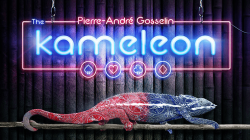 (image for) Marchand de Trucs Presents The Kameleon (Gimmicks and Online Instructions) by Pierre-Andr? Gosselin - Trick