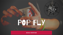 (image for) The Vault - Pop Fly by Bizau Cristian video DOWNLOAD