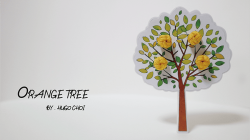 (image for) Orange Tree (Gimmick and Online Instructions) by Hugo Choi - Trick