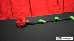 (image for) Fresh Flower by Mr. Magic - Trick