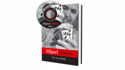 (image for) The Joy of Magic by Miguel G??mez